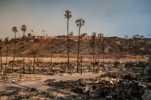 LOS ANGELES FIRE